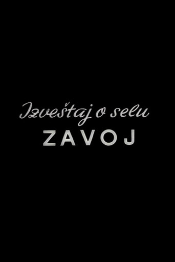 Movie poster for Report from the Zavoj Village (1963)