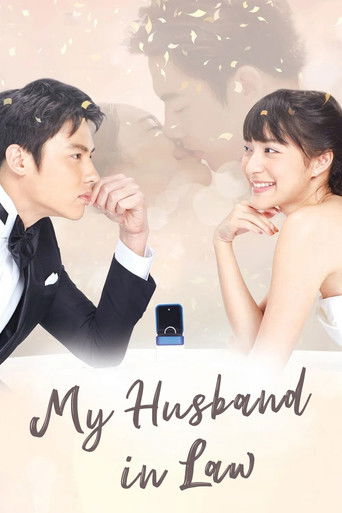 My Husband in Law poster