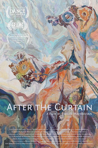Movie poster for After the Curtain (2016)