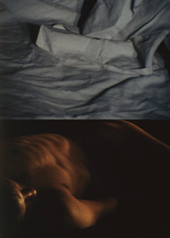 Movie poster for The Malady of Death (1994)