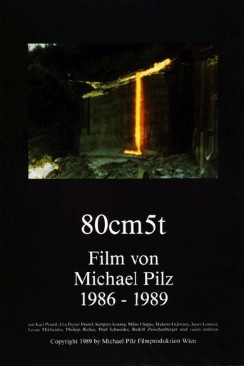 Movie poster for 80cm 5t (1989)