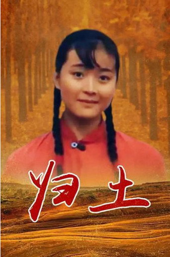 Movie poster for Back to Roots (1995)