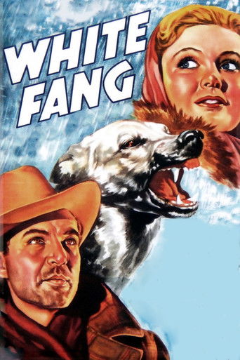 White Fang poster