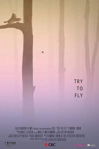 Movie poster for Try to Fly (2020)