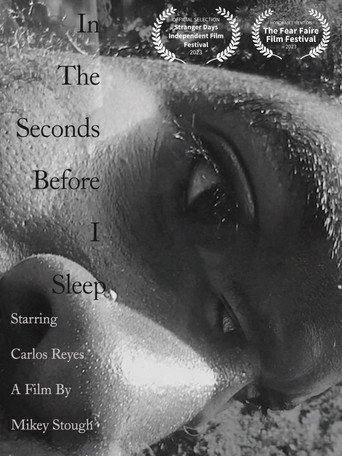 Movie poster for In the Seconds Before I Sleep (2023)