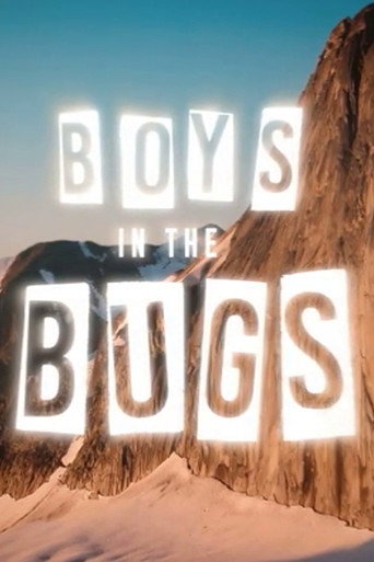 Movie poster for Boys In The Bugs (2017)