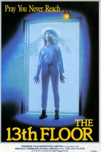 The Thirteenth Floor poster