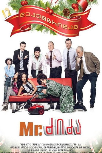 Movie poster for Mr. Nanny (2013)