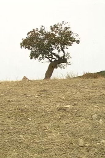 Any Time in October poster