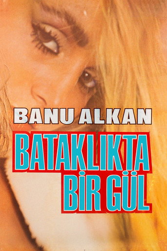 A Rose In The Swamp poster