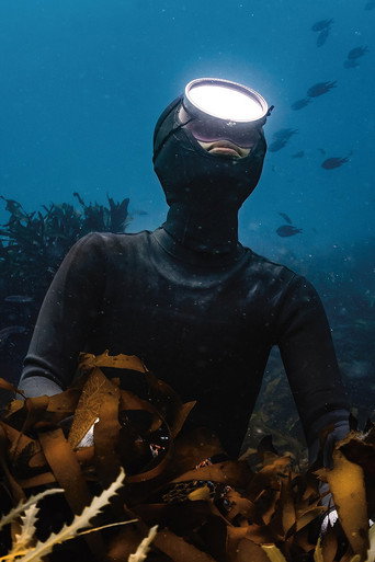 Movie poster for Daughter of the Sea (2023)