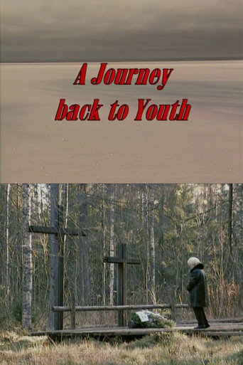 Movie poster for A Journey Back to Youth (2001)