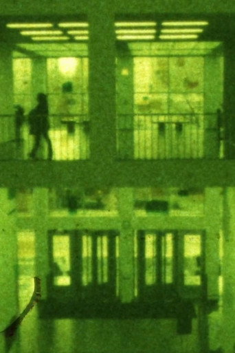 Movie poster for Sunday, Monday And Tuesday I Was Out Of Film In Chicago (2019)