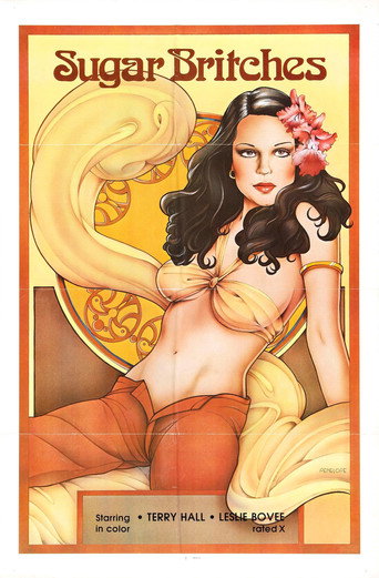 Movie poster for Sugar Britches (1981)