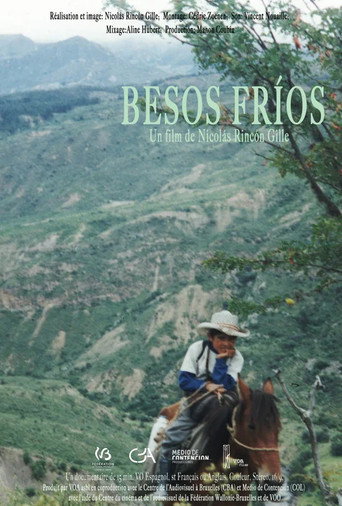 Movie poster for Cold Kisses (2016)
