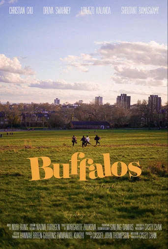 Movie poster for Buffalos