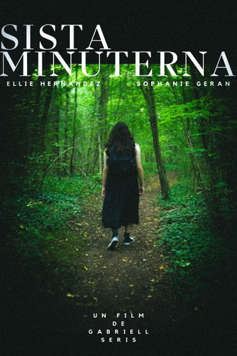 Movie poster for Sista Minuterna (2024)
