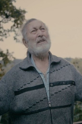 Movie poster for King Lear (2017)