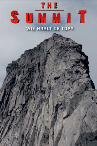The Summit poster