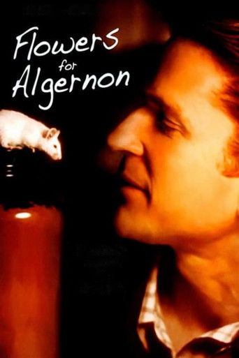 Flowers for Algernon poster