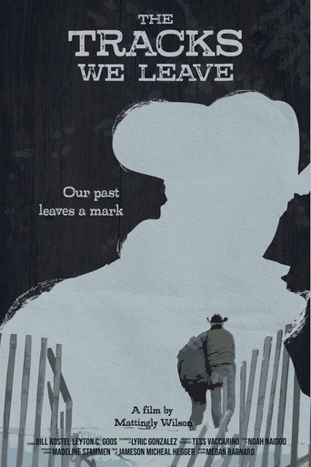 Movie poster for The Tracks We Leave