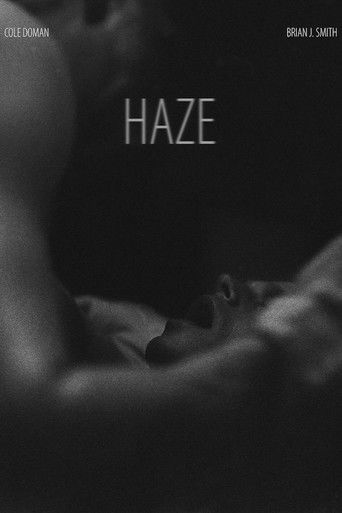 Haze poster
