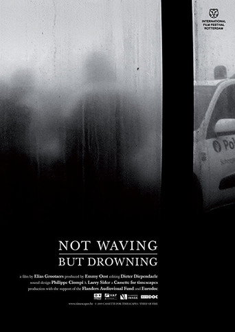 Movie poster for Not Waving, But Drowning (2010)