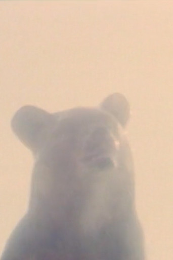 Movie poster for Hotel Tubu (2002)