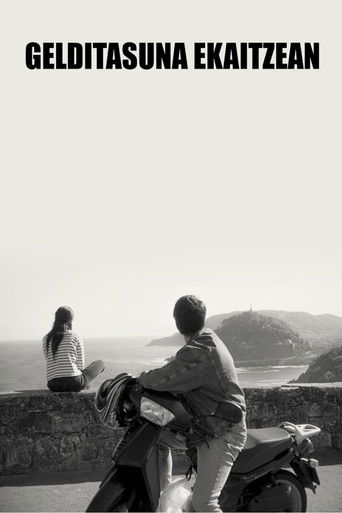 Stillness in the Storm poster