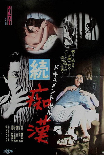 Movie poster for Dokyumento poruno: Zoku chikan (1973)