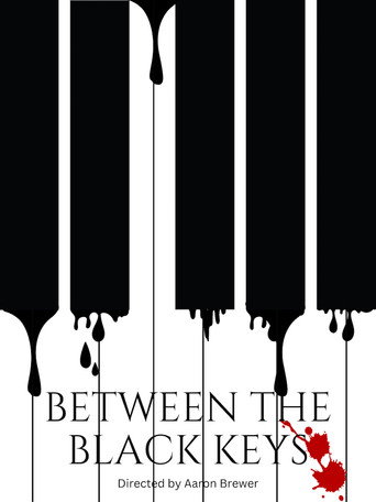 Movie poster for Between The Black Keys