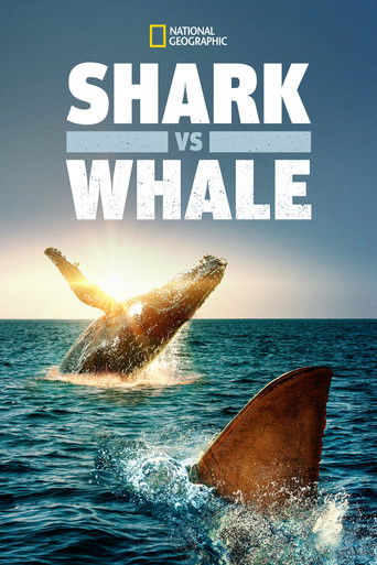 Shark Vs. Whale poster