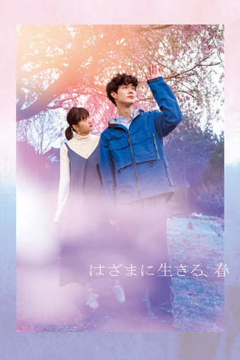 Spring in Between poster