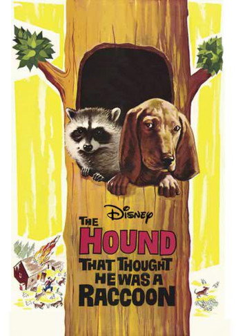Movie poster for The Hound That Thought He Was a Raccoon (1960)