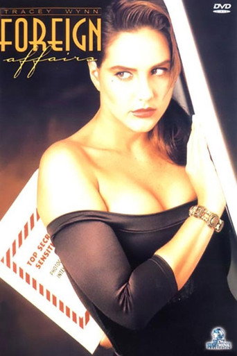 Movie poster for Foreign Affairs (1991)