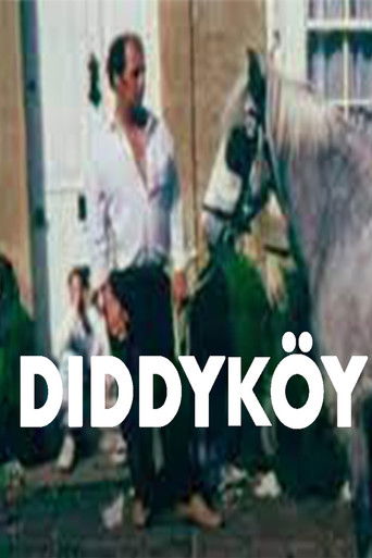 Diddyköy poster