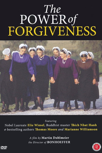 Movie poster for The Power of Forgiveness (2008)