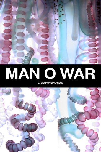 Movie poster for Man O War (2011)