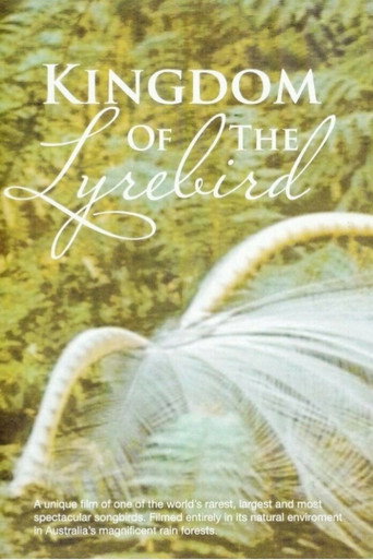 Kingdom Of The Lyrebird poster