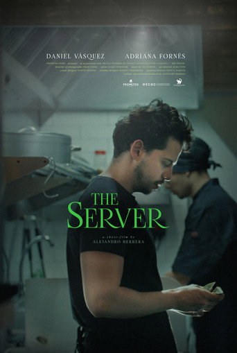 Movie poster for The Server (2025)