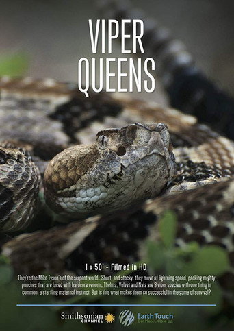 Movie poster for Viper Queens (2016)