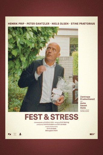 Fest & Stress poster