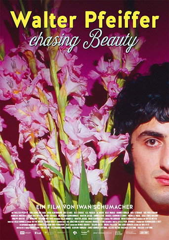 Movie poster for Walter Pfeiffer: Chasing Beauty (2017)