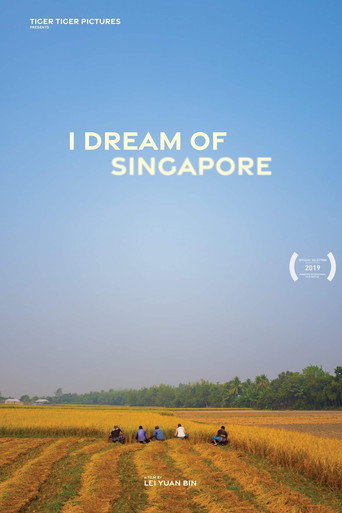 Movie poster for I Dream of Singapore (2019)