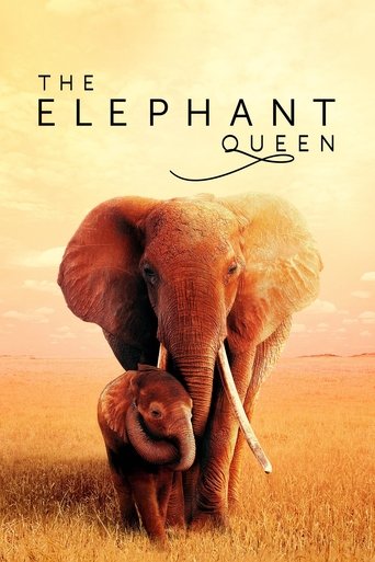 The Elephant Queen poster