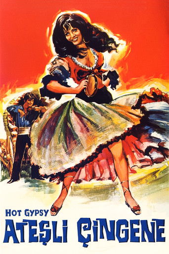 Hot Gypsy poster