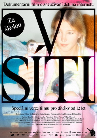 Movie poster for V síti: Za školou (2020)