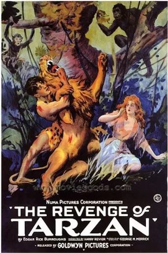 Movie poster for The Revenge of Tarzan (1920)