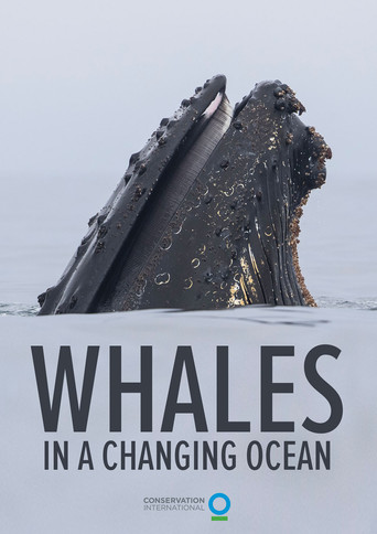 Movie poster for Whales in a Changing Ocean (2021)