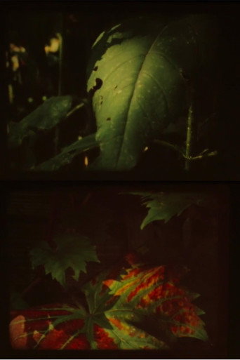 Movie poster for Autumn Fog (2010)